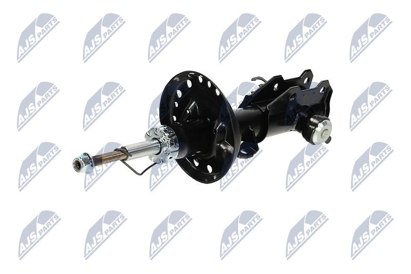 Amort, NTY A-PL-062