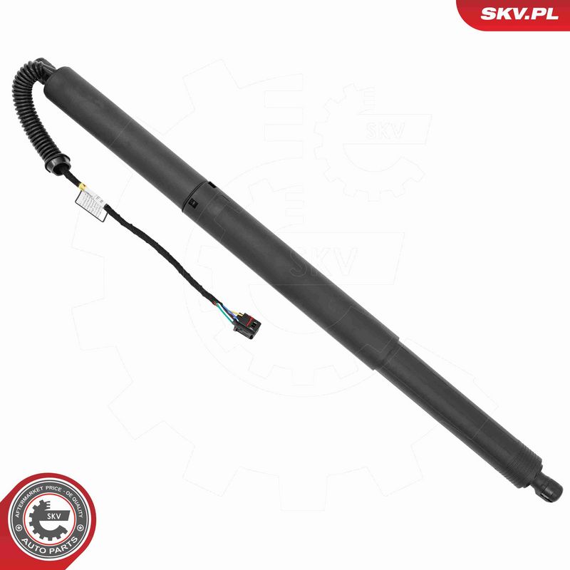 ESEN SKV 52SKV199 Electric Motor, tailgate