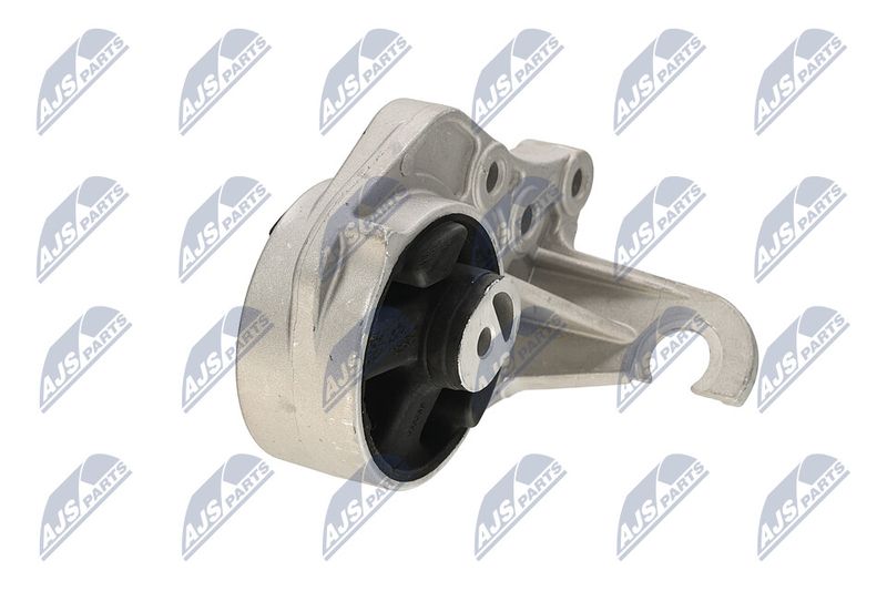 Paigutus, Mootor, NTY ZPS-CH-113