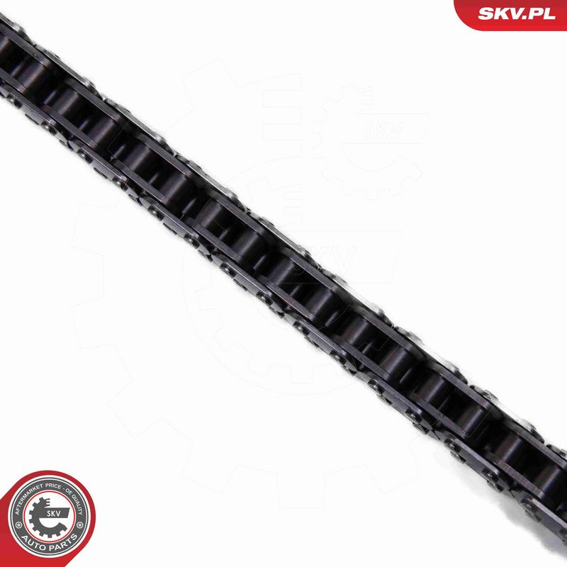 ESEN SKV 21SKV252 Timing Chain Kit