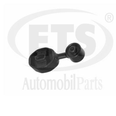 окачване, двигател ETS