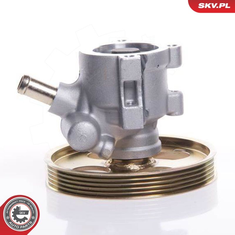 Hüdraulikapump, roolimine, ESEN SKV 10SKV119