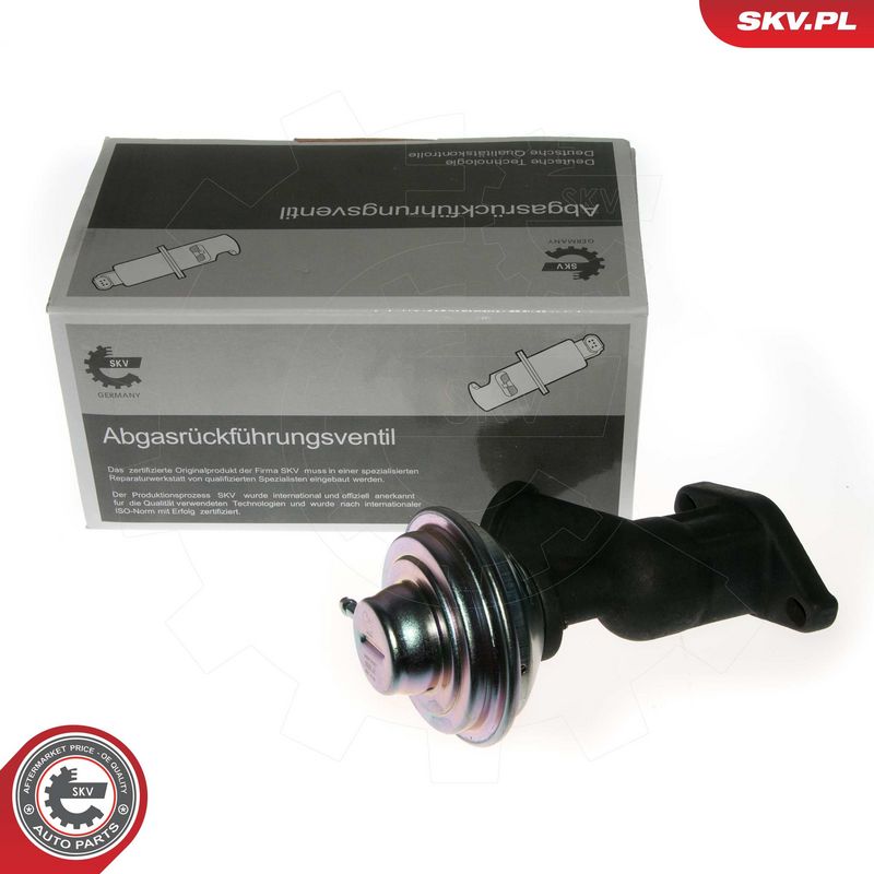 EGR-klapp, ESEN SKV 14SKV077