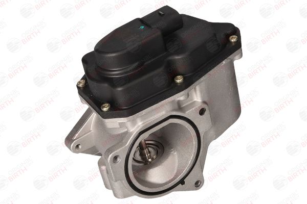 BIRTH 90027 EGR Valve