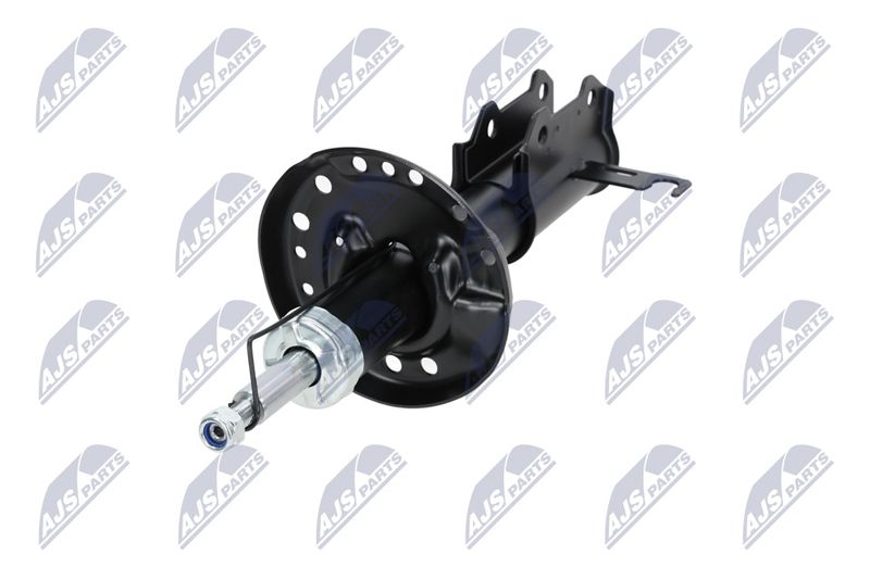 Amort, NTY A-PL-029