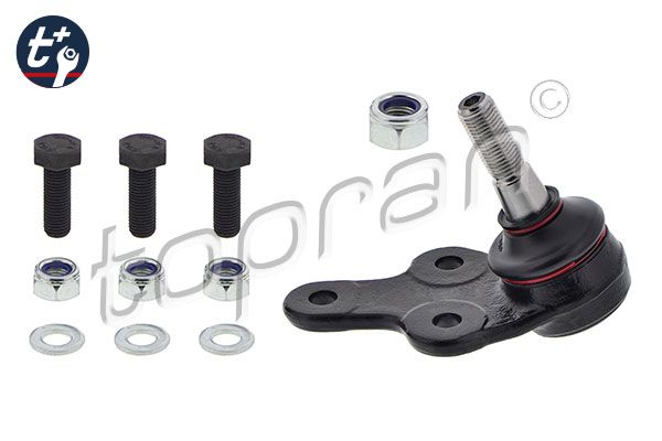 Kande-, juhtliigend, TOPRAN...