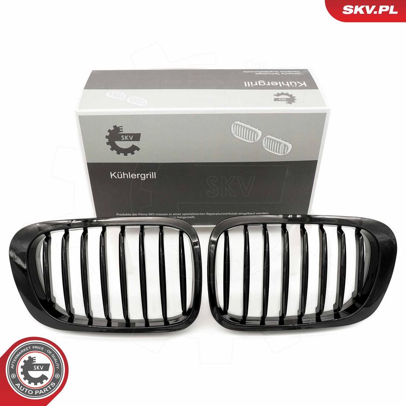 Radiaatorivõre, ESEN SKV 66SKV055