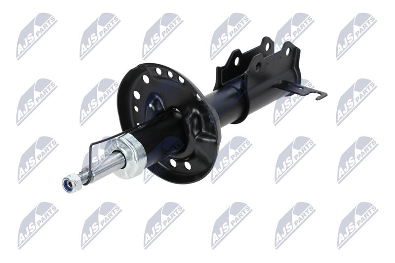 Amort, NTY A-PL-029