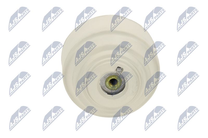 Paigutus, Mootor, NTY ZPS-ME-102