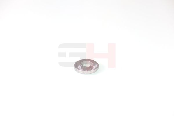 caster shim, sillatala, GH GH-391582