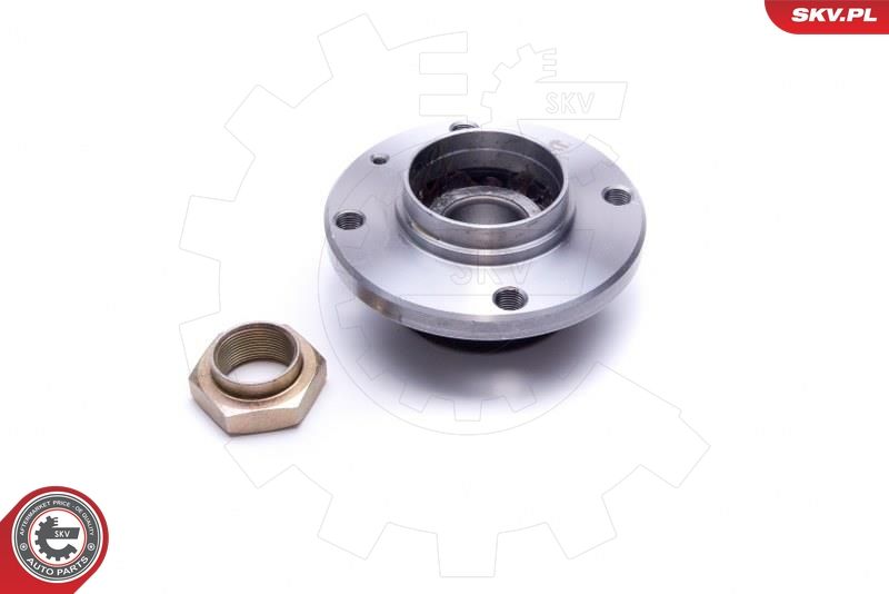 ESEN SKV 29SKV448 Wheel Bearing Kit