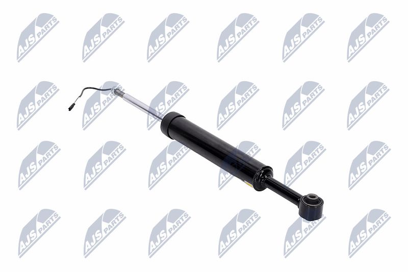 Amort, NTY A-MA-002