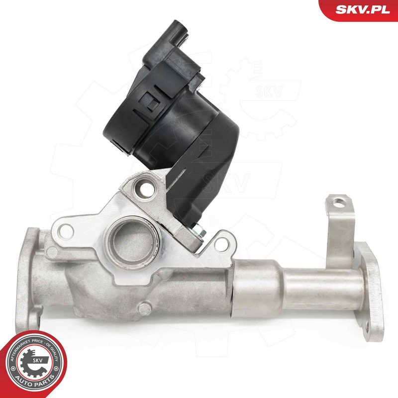 EGR-klapp, ESEN SKV 14SKV287
