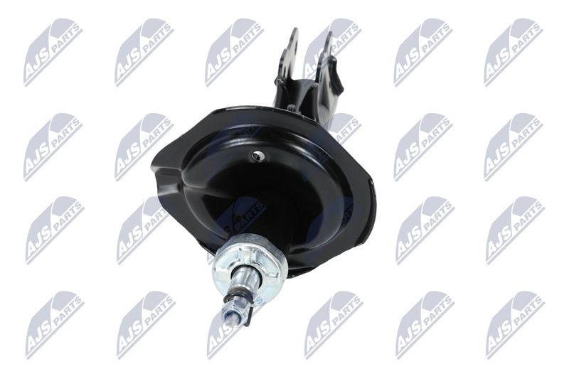 Amort, NTY A-MS-015