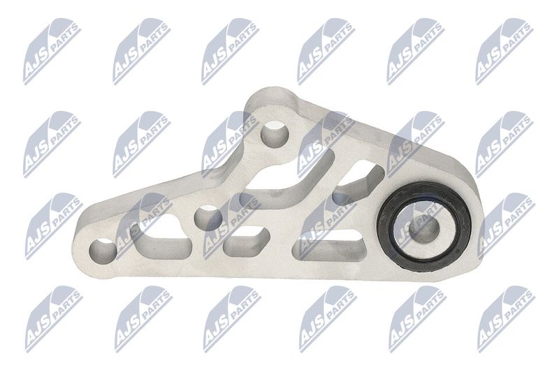 Paigutus, Mootor, NTY ZPS-CH-119