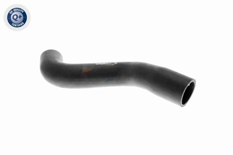 VAICO V30-1619 Radiator Hose