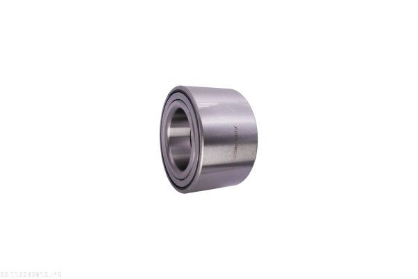 AUTOMEGA 110032810 Wheel Bearing