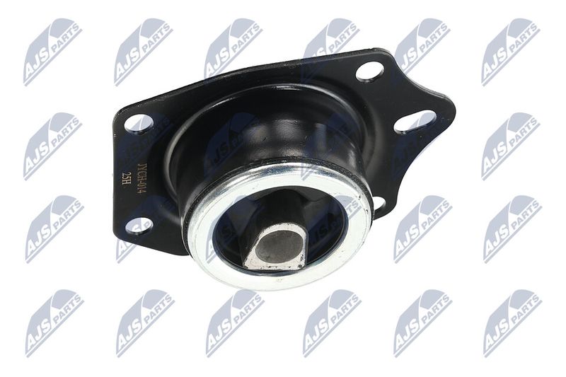 Paigutus, Mootor, NTY ZPS-CH-014