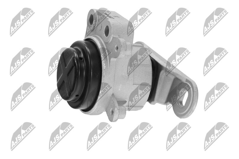 Paigutus, Mootor, NTY ZPS-FR-044