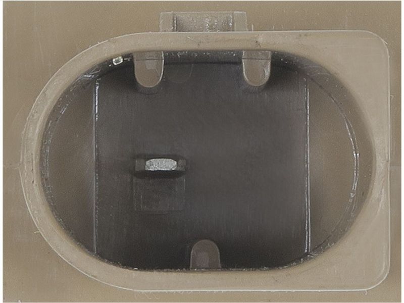 410799.JPG