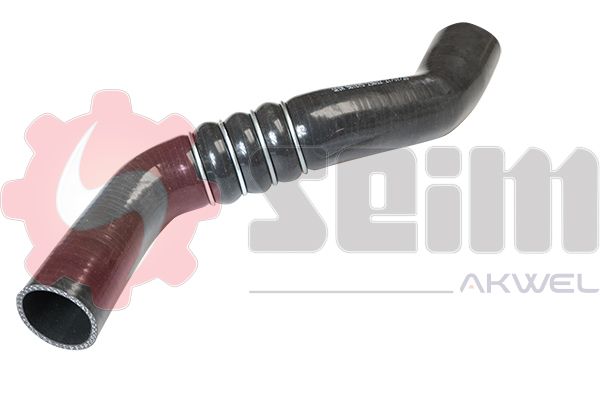 981875.JPG