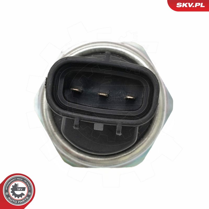 Andur, kütuserõhk, ESEN SKV 17SKV080