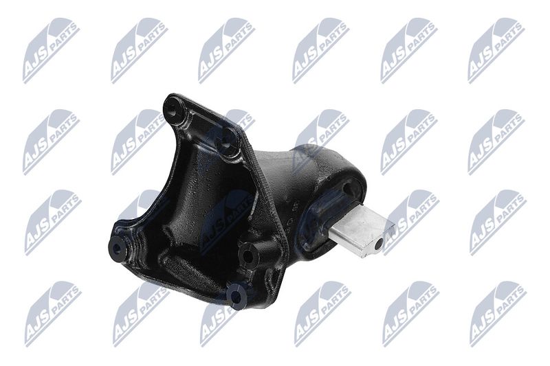 Paigutus, Mootor, NTY ZPS-CH-173