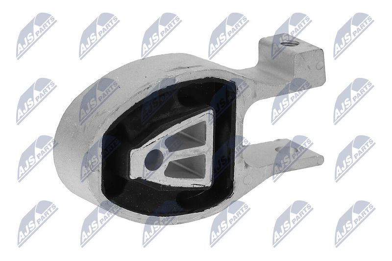 Paigutus, Mootor, NTY ZPS-FR-038