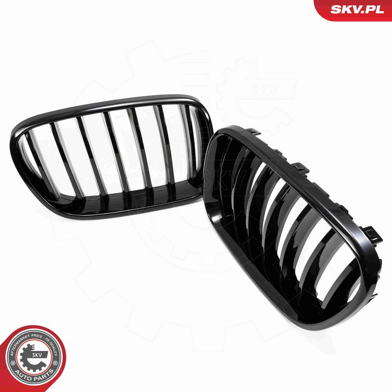ESEN SKV 66SKV248 Radiator Grille