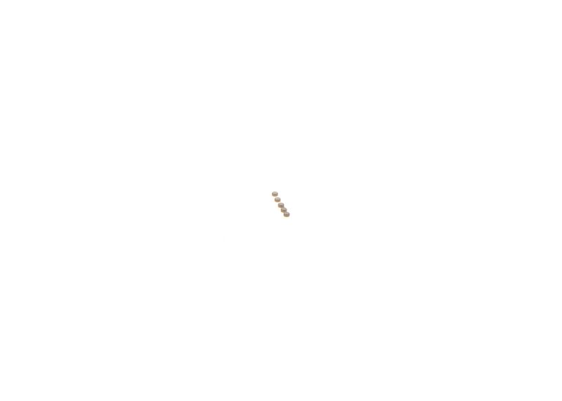 BOSCH F00ZC99726 Repair Kit, common rail system
