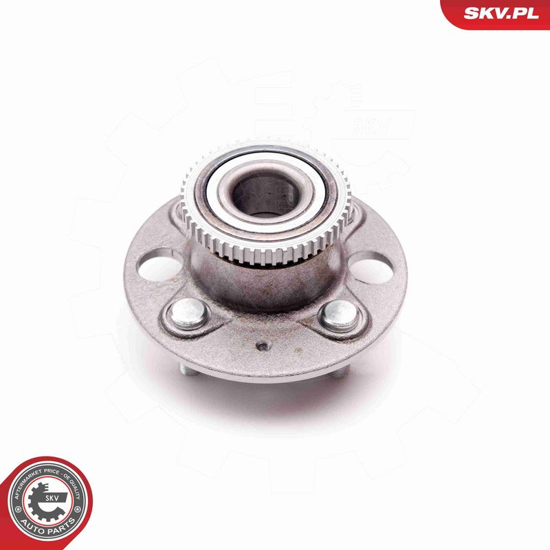 ESEN SKV 29SKV051 Wheel Bearing Kit