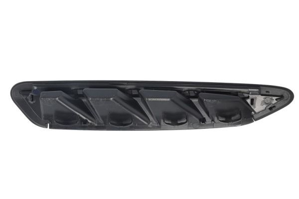 BLIC 5703-08-0097379P Trim/Protection Strip, wing