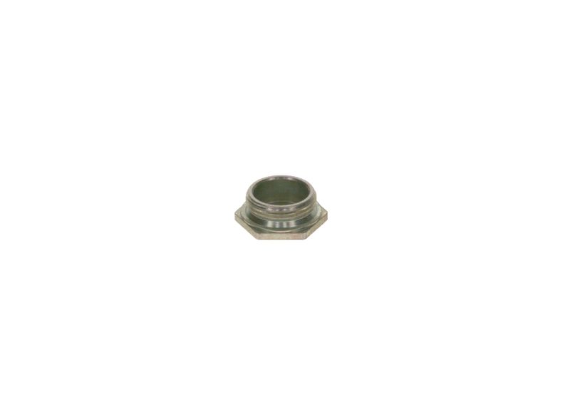 BOSCH 2443462014 Screw