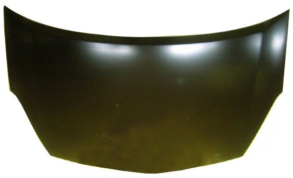 Capota motor MTR 30060063