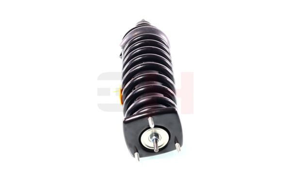 Vedruamort, GH GH-333360C01