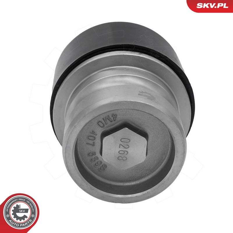 Prekės atitinka OEM kodą: 4M0 407 689 B