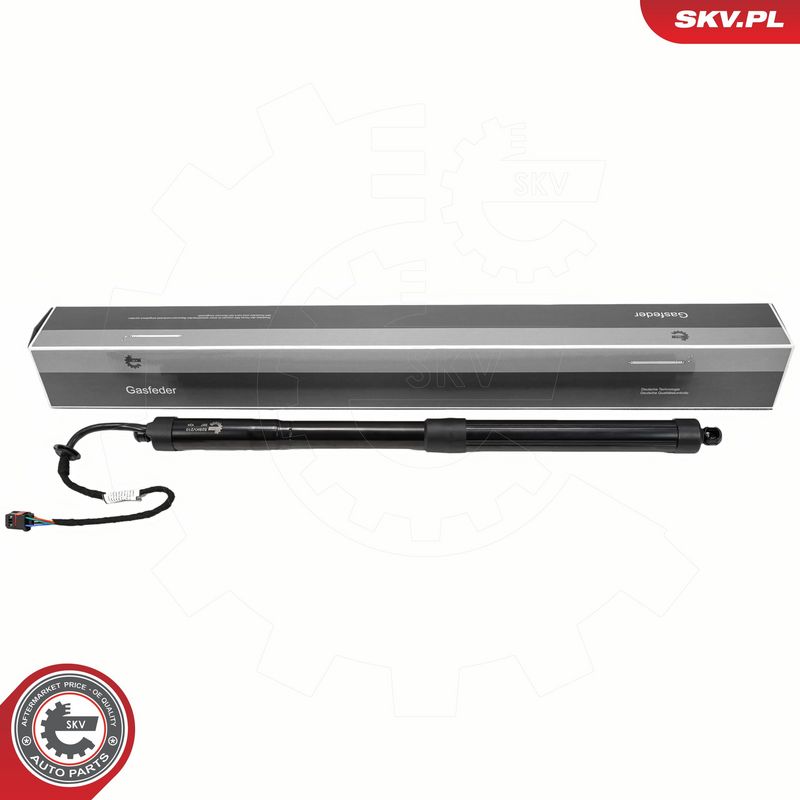 Elektrimootor, tagaluuk, ESEN SKV 52SKV210