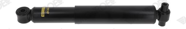 T5466_5249840.JPG