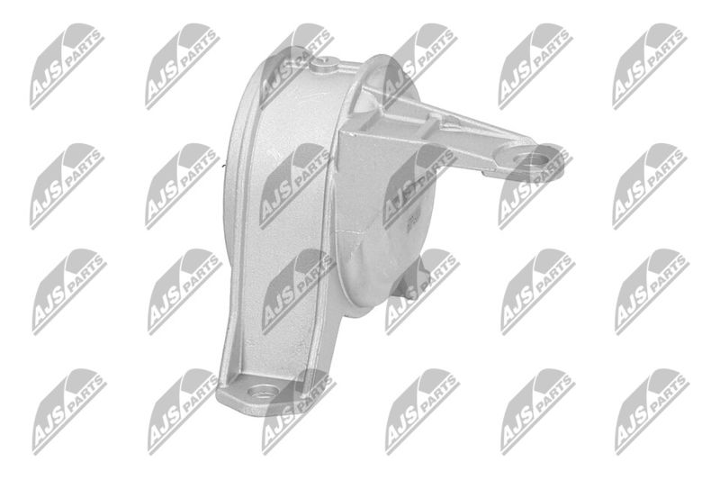 Paigutus, Mootor, NTY ZPS-PL-001