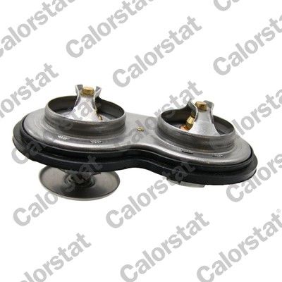 Thermostat+liquide+refroidissement CALORSTAT BY VERNET TH7106.75J