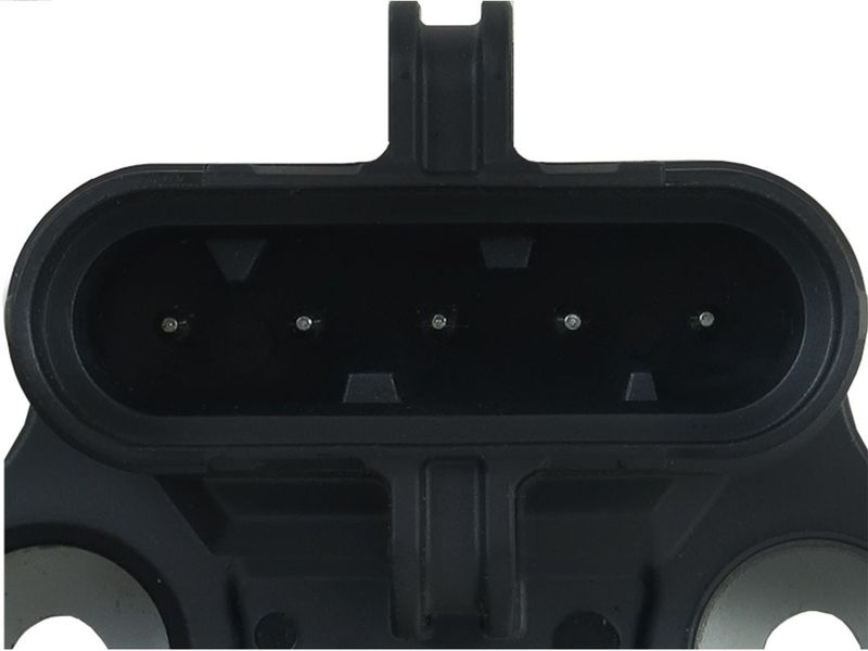 389773.JPG
