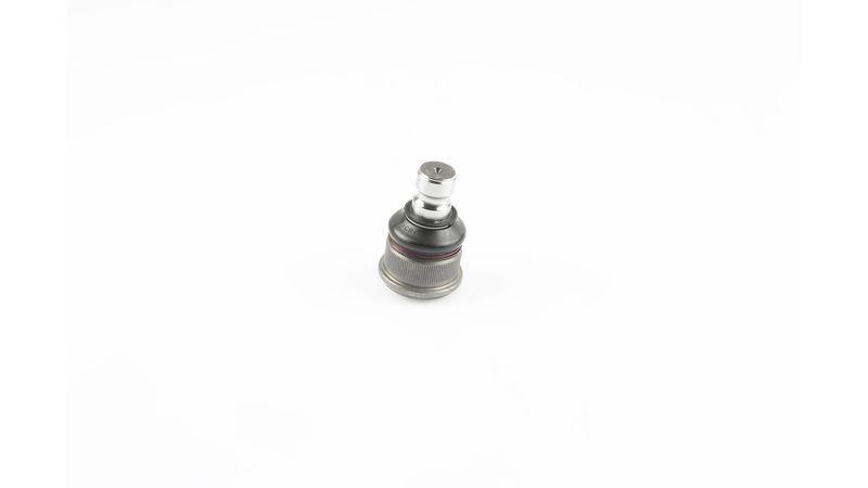 SKF VKDS 316006 Šarnyras / girgždukas