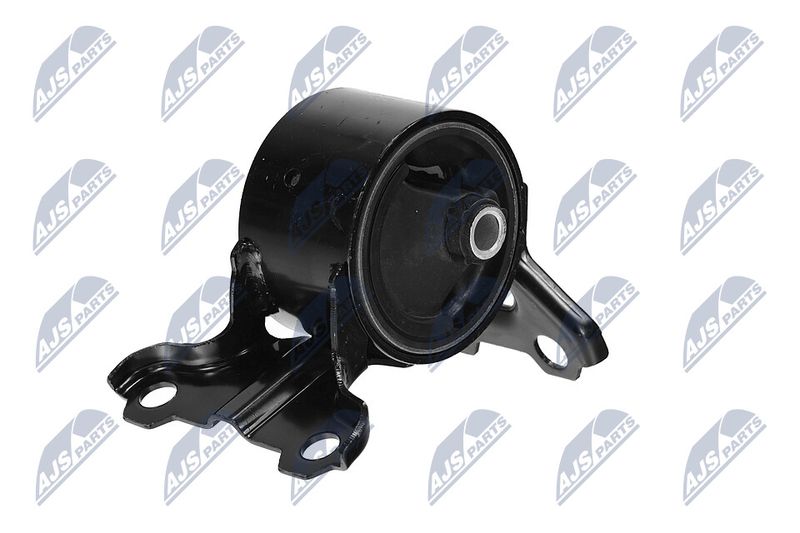 Paigutus, Mootor, NTY ZPS-CH-179