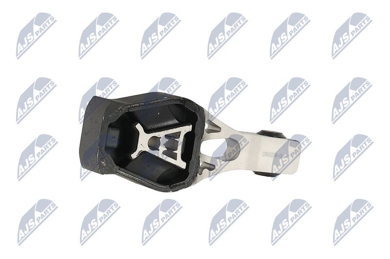 Paigutus, Mootor, NTY ZPS-PE-022