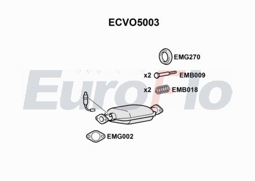 ecvo5003.JPG