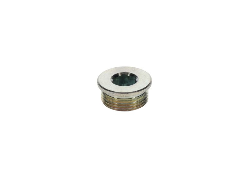 Surub 1 423 462 099 BOSCH