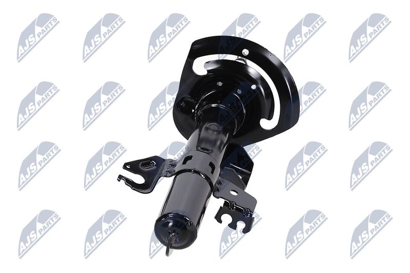 Amort, NTY A-CH-084