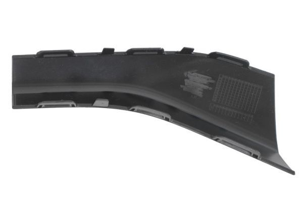 BLIC 6502-07-0048979BP Trim/Protection Strip, bumper