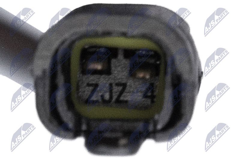 Amort, NTY A-MA-000