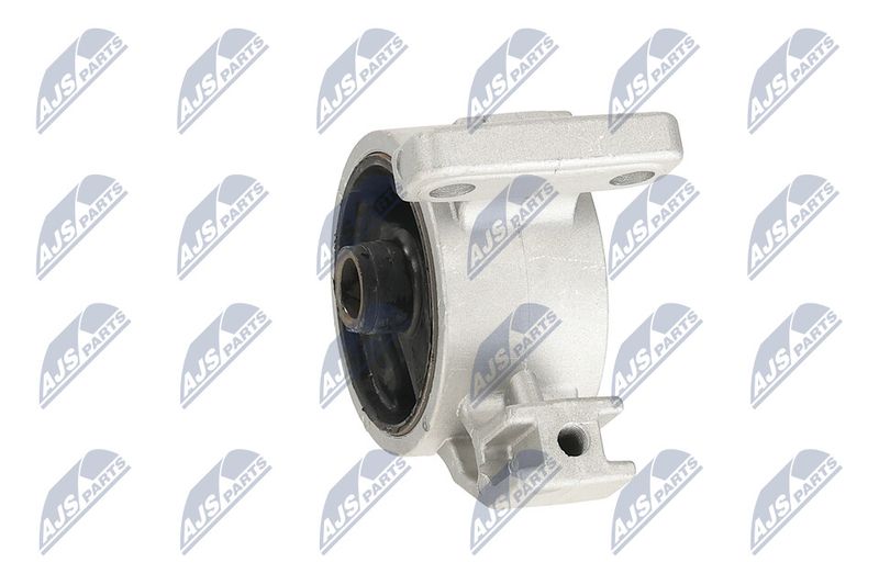 Paigutus, Mootor, NTY ZPS-KA-318